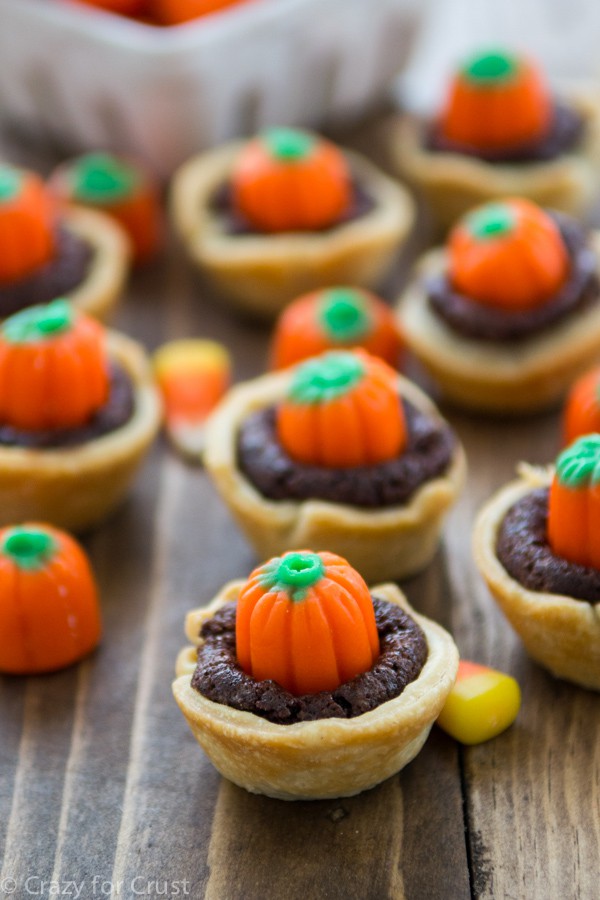 Pumpkin Patch Brownie Pies