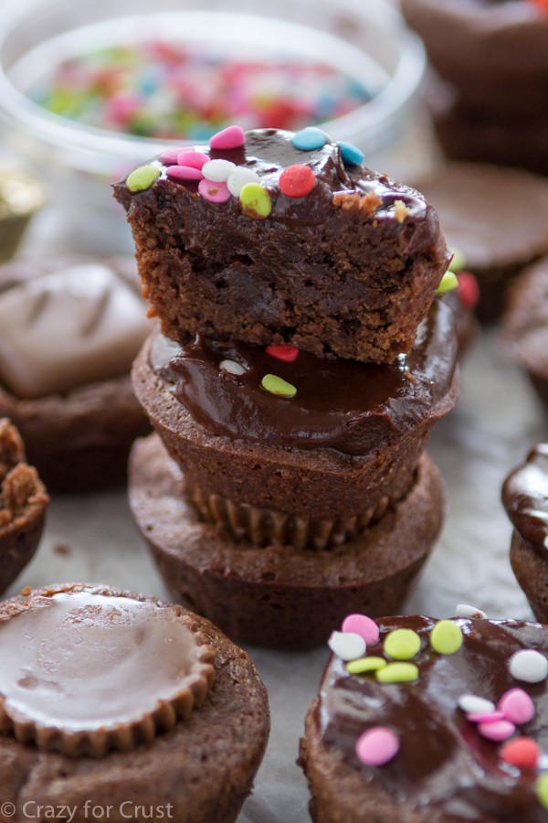 Best Brownie Bites - Crazy for Crust