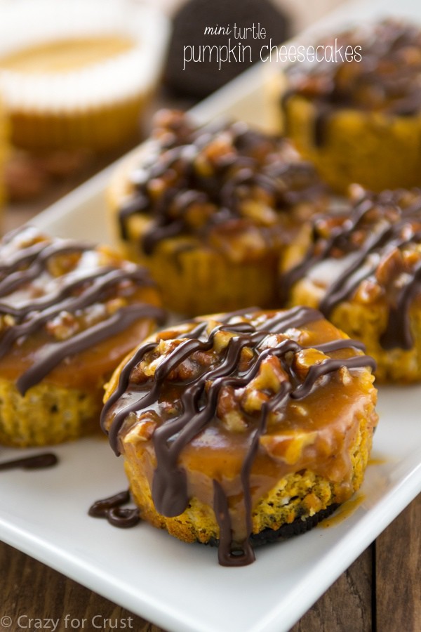 Mini Turtle Pumpkin Cheesecakes (1 of 7)w