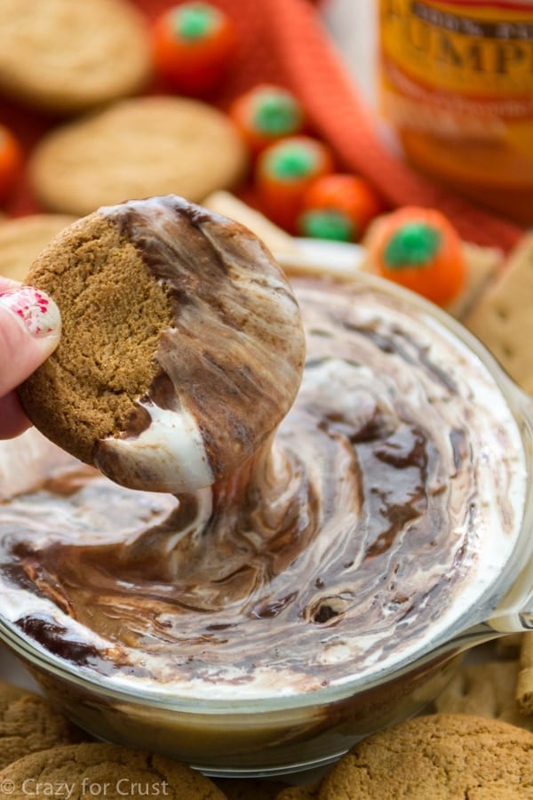 hand dipping gingersnap in pumpkin marshmallow chocolate dip