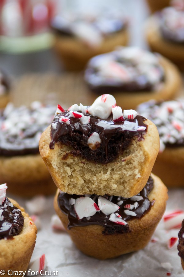 Peppermint Tarts - a sugar cookie tassie base filled with chocolate peppermint filling and topped with ganache!