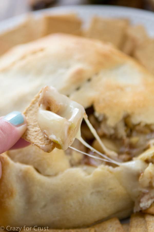 The best party appetizer ever is this recipe for Apple Pecan Pie Baked Brie! Brie, apples, pecans, and brown sugar are baked in crescent rolls for a gooey sweet snack!