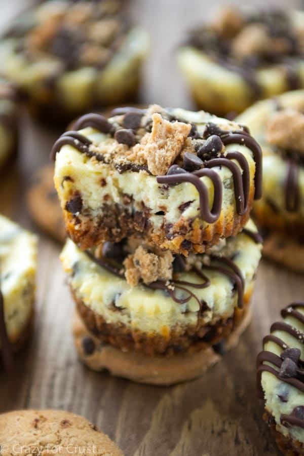 Chocolate Chip Cookie Cheesecakes with a chocolate chip cookie crust!