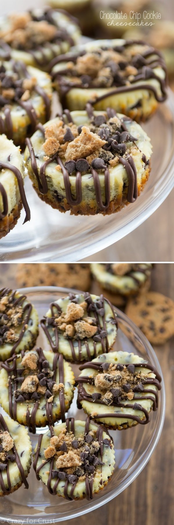 Chocolate Chip Cookie Cheesecakes with a chocolate chip cookie crust!