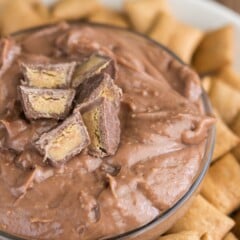 Chocolate Peanut Butter Dip (2 ingredients) surrounded by go bites to dip