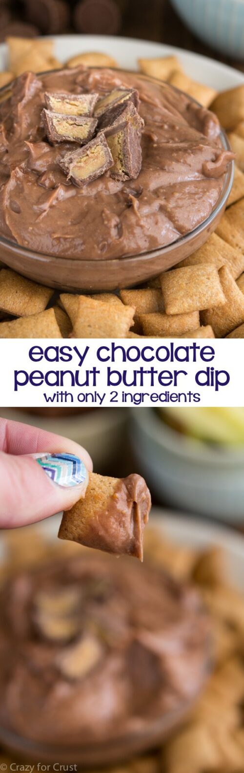 Chocolate Peanut Butter Dip (2 ingredients) Crazy for Crust