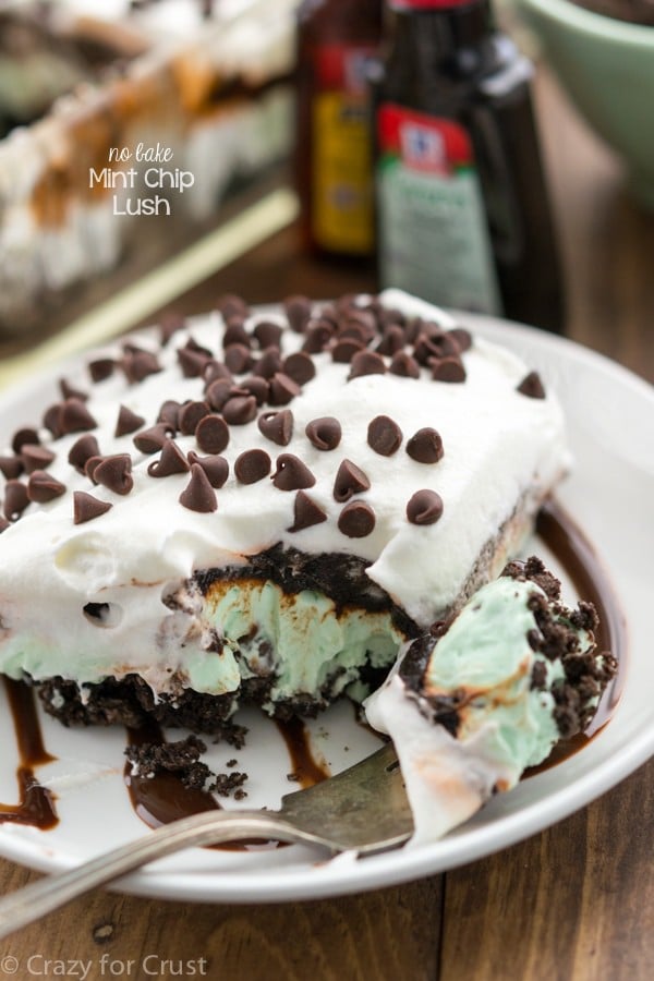 No Bake Mint Chip Lush Dessert filled with layers of cookie crumbs, no bake mint chip cheesecake, and chocolate pudding!
