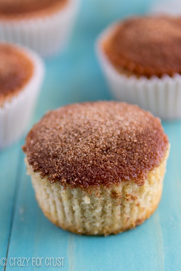 Cinnamon Sugar Cupcakes (1 of 5)