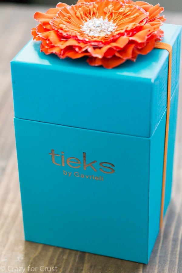 Mint Tieks Review (2 of 7)