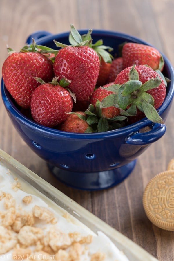 bowl of fresh strawberries