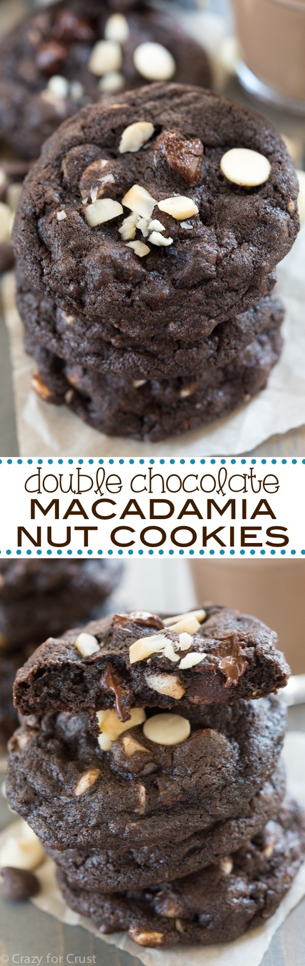 My favorite Double Chocolate Macadamia Nut Cookies with the BEST chocolate cookie dough!