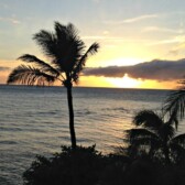 Palm tree picture of sunset with caption 9 Things you MUST See in Maui