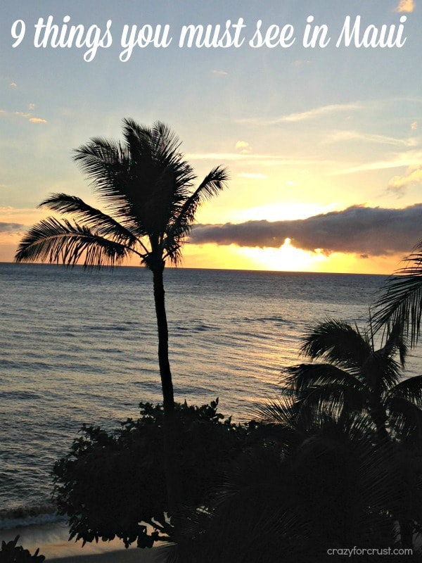 9 Things you MUST See in Maui