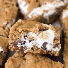 Bunch of Oatmeal Cookie S'mores Bars