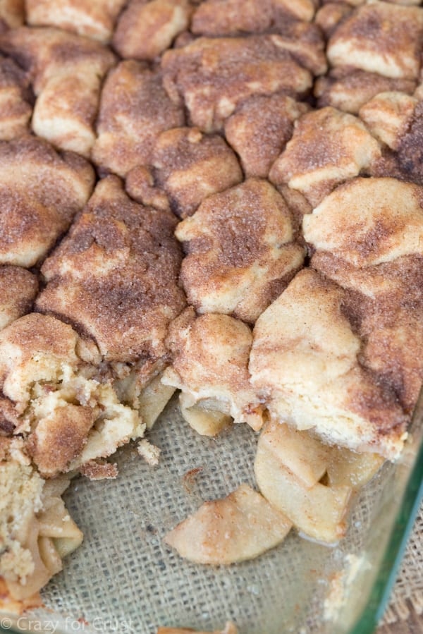 Snickderdoodle Apple Cobbler (10 of 10)