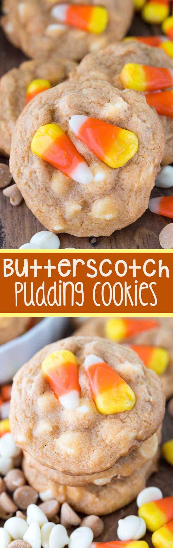 Easy Butterscotch Pudding Cookies - this easy cookie recipe starts is full of butterscotch pudding mix! Just a few ingredients to the perfect cookie that stays soft for days!