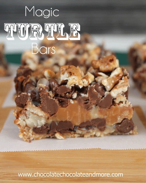 Magic-Turtle-Bars-76c