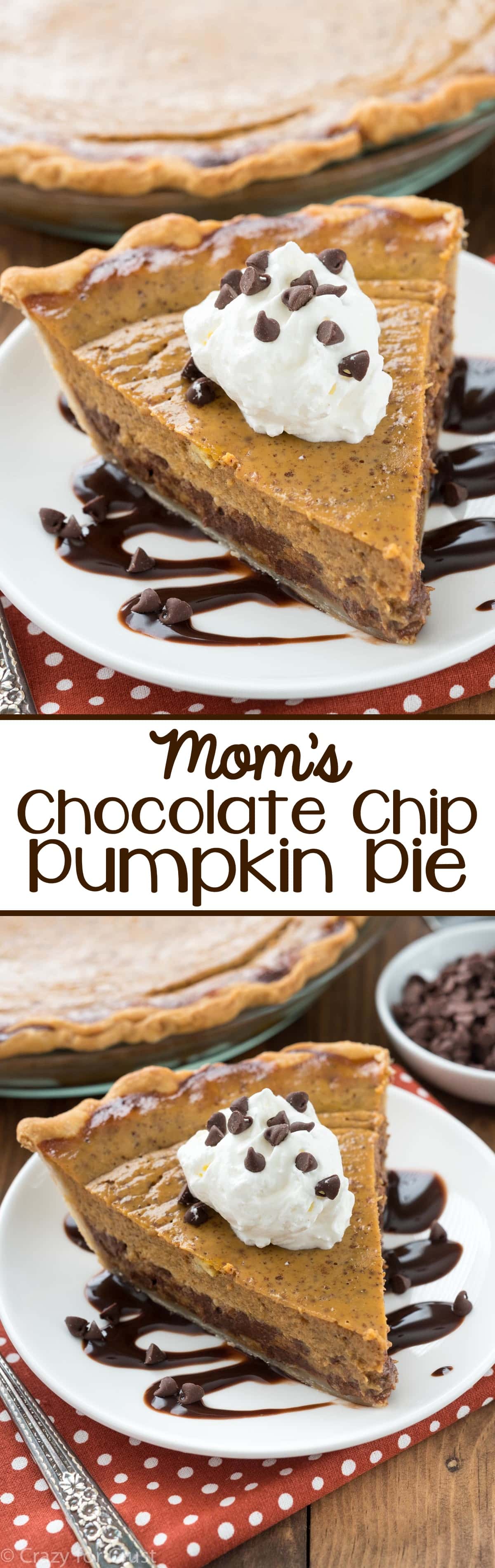 Mom's Chocolate Chip Pumpkin Pie - this easy pumpkin pie recipe is a family favorite! A traditional pumpkin pie that's filled with chocolate chips!