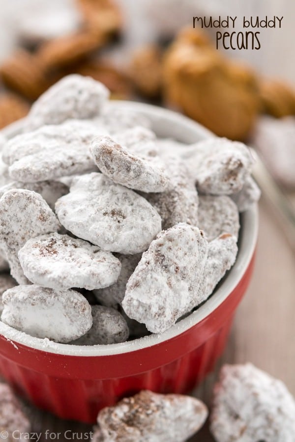 Muddy Buddy Pecans are an easy recipe that's perfect for parties, holidays, or parties! Chocolate and peanut butter covered pecans, doused in powdered sugar!