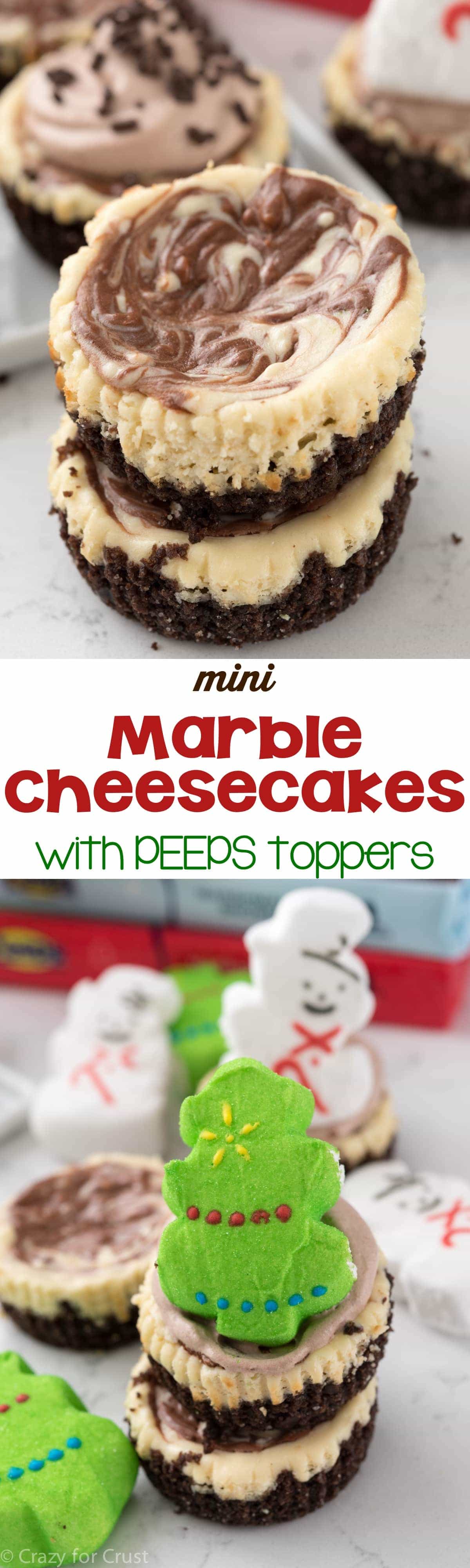 Mini Marble Cheesecakes with a PEEPS marshmallow topper - these easy mini cheesecakes are marbled with chocolate. Top with a PEEP for Christmas!