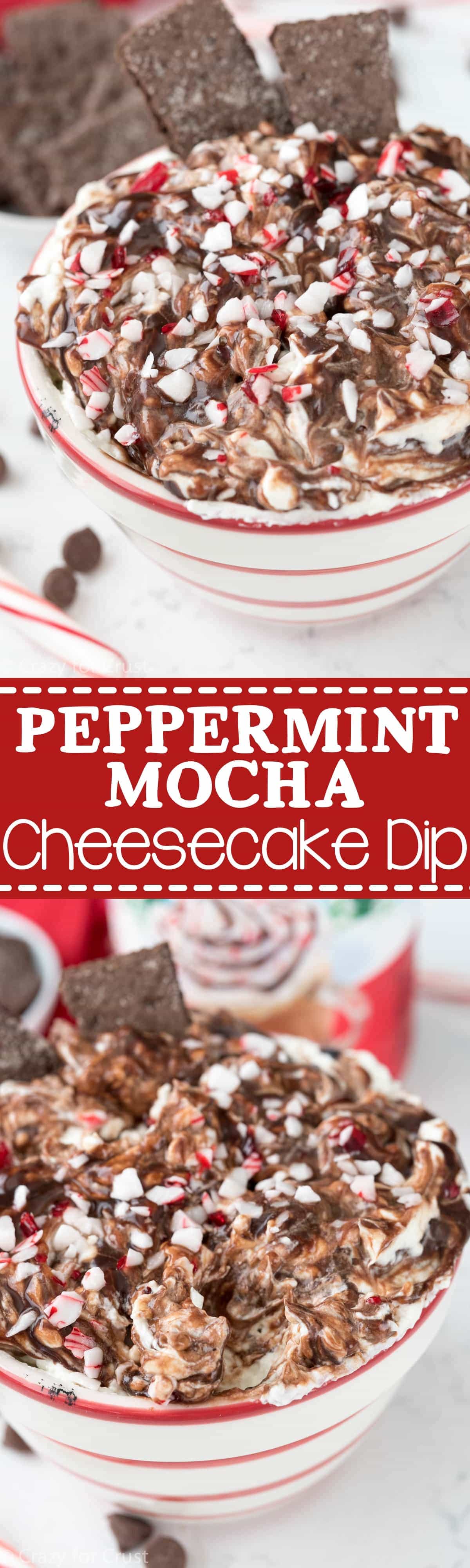 Peppermint Mocha Cheesecake Dip - this easy dip recipe is perfect for Christmas parties! It's so fast to make and the perfect peppermint recipe to feed a crowd.