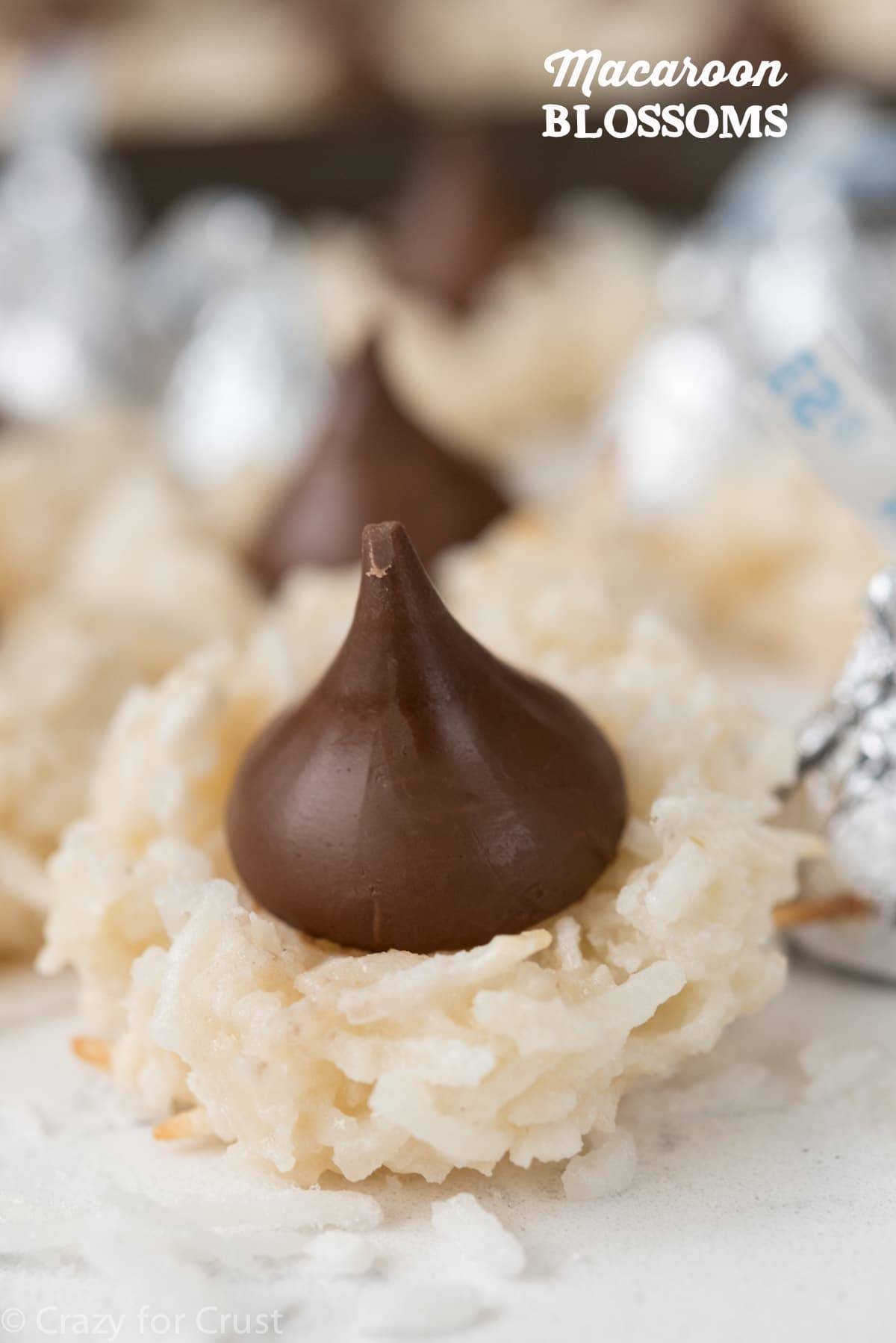 Macaroon Blossom Cookies - these easy cookies are full of coconut and topped with a Hershey's Kiss! They're also egg free and can be made gluten free!