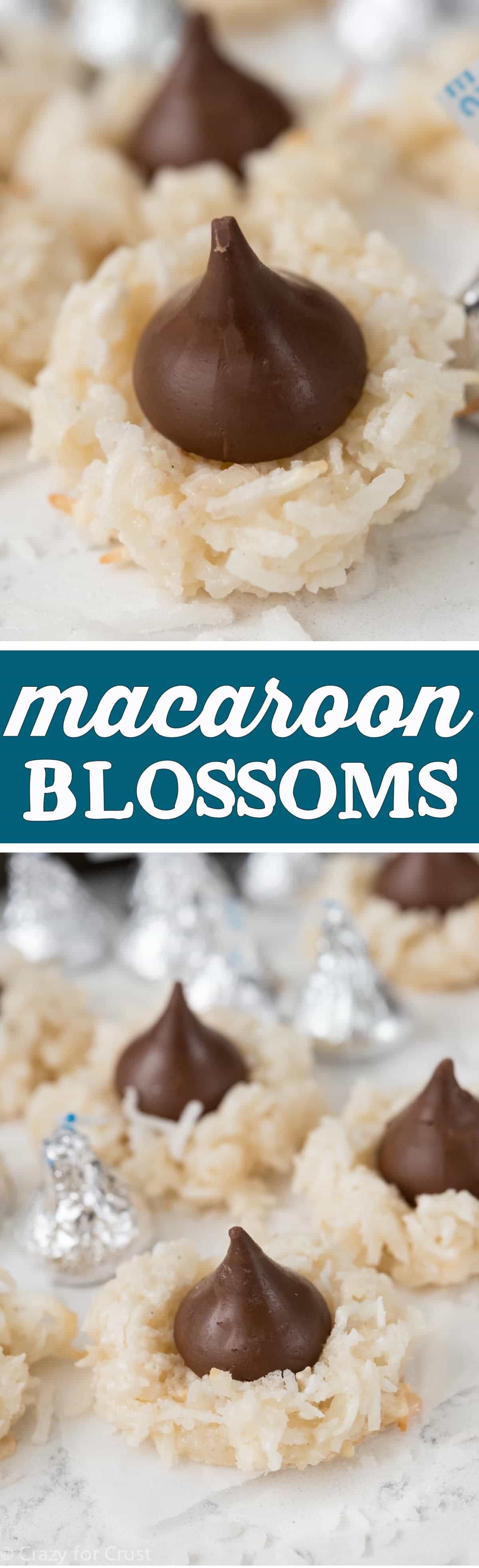Easy Macaroon Blossoms Recipe - this cookie is great all year round! A coconut macaroon topped with a Hershey's Kiss, and they are egg free and can be made gluten free!