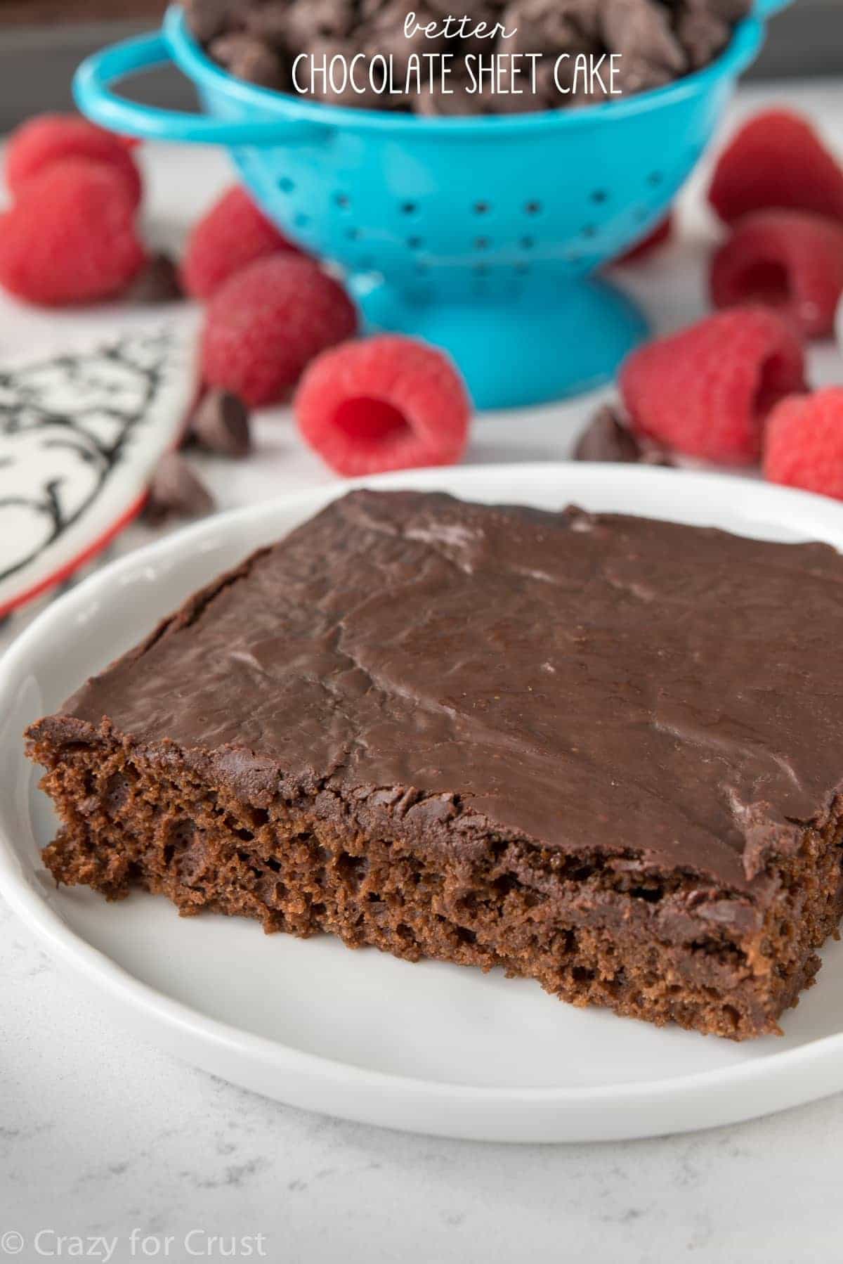 This is a Better Chocolate Sheet Cake Recipe! It's super chocolatey and moist but with NO eggs or oil! You MUST try this easy cake recipe!