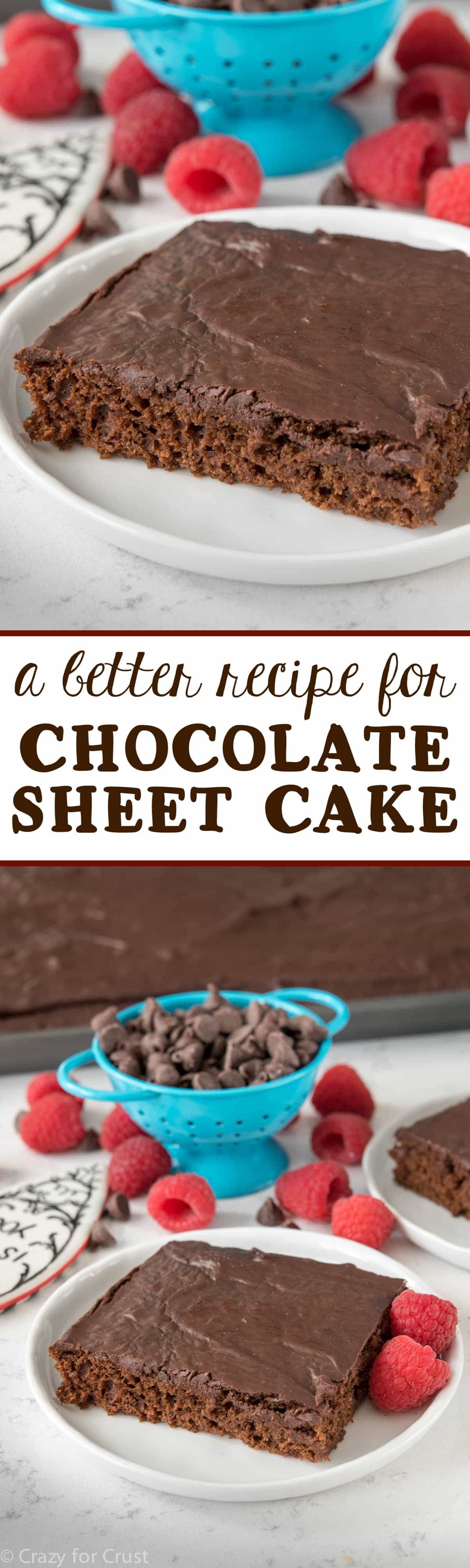 This is a Better Chocolate Sheet Cake Recipe! It's super chocolatey and moist but with NO eggs or oil! You MUST try this easy cake recipe!