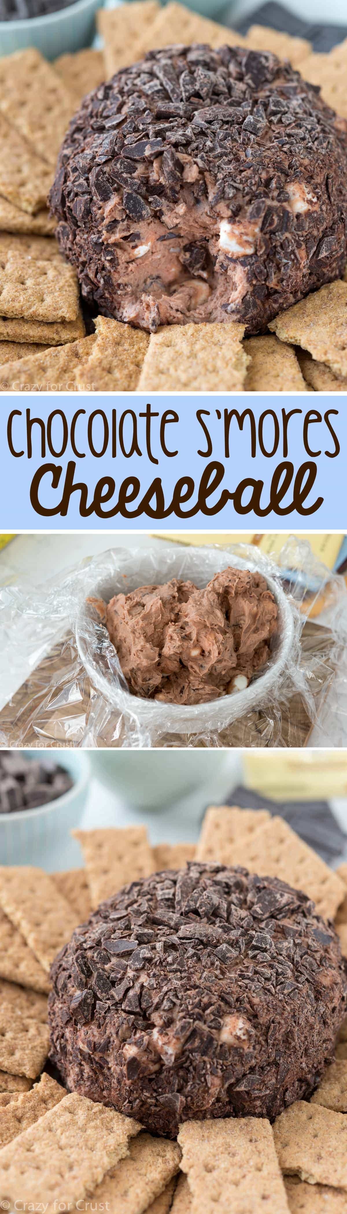 Chocolate S'mores Cheeseball Dip - this easy recipe is perfect for any party! It's chocolate, marshmallow, and s'mores all in one sweet appetizer dip recipe!