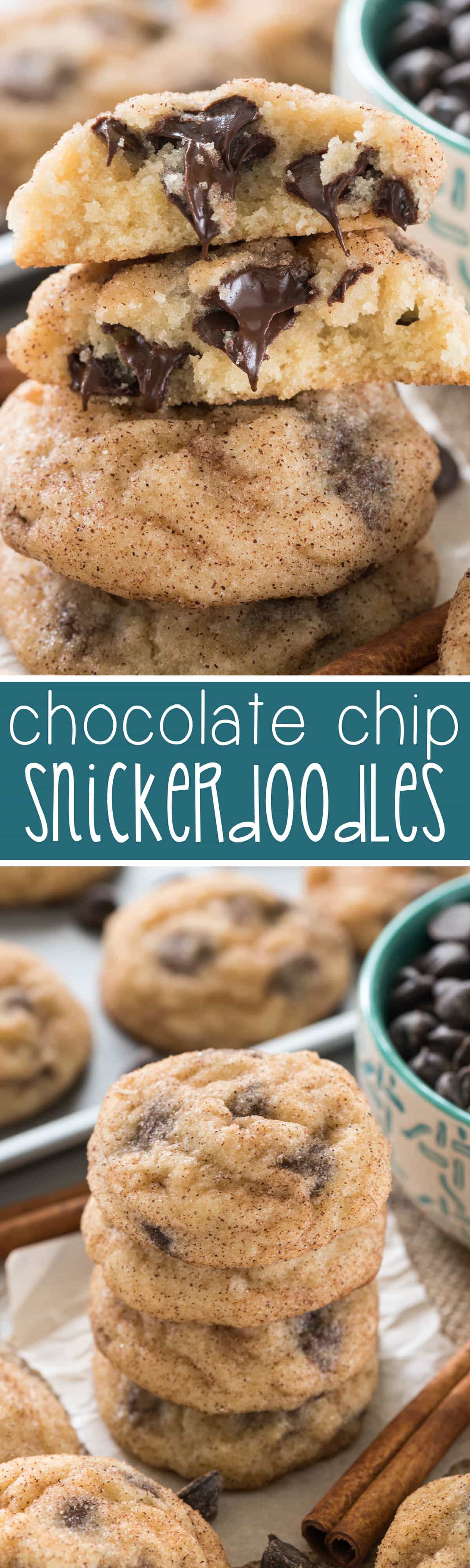 Chocolate Chip Snickerdoodles - this easy snickerdoodle recipe is FILLED with chocolate chips. We made these twice in two days! Chocolate goes so well with snickerdoodle cookies!