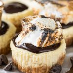 Mini S'mores cheesecakes with toasted marshmallow on top