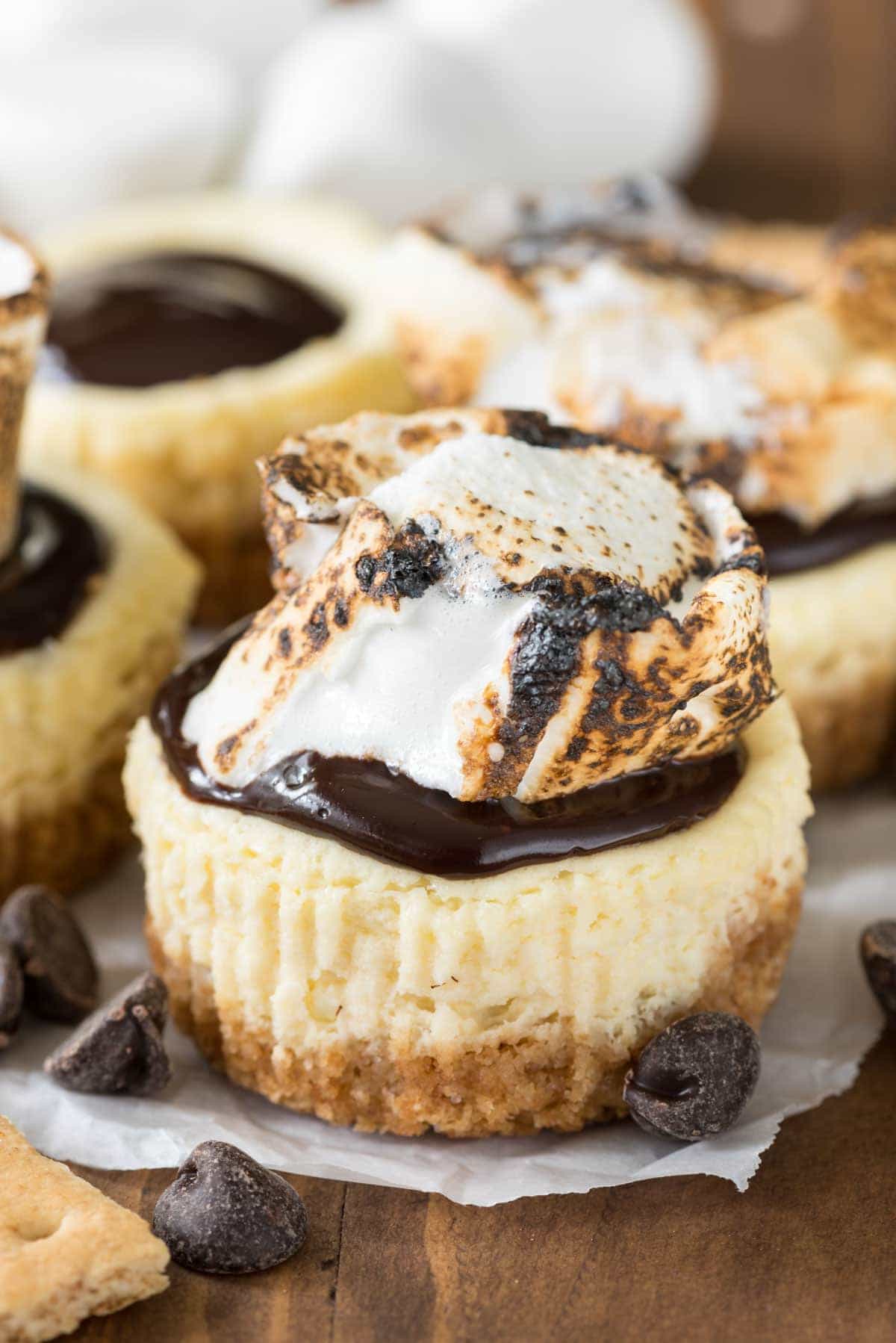 Mini S'mores Cheesecakes - this easy cheesecake recipe makes the perfect 12 mini cheesecakes! Top them with chocolate and a toasted marshmallow for indoor s'mores!
