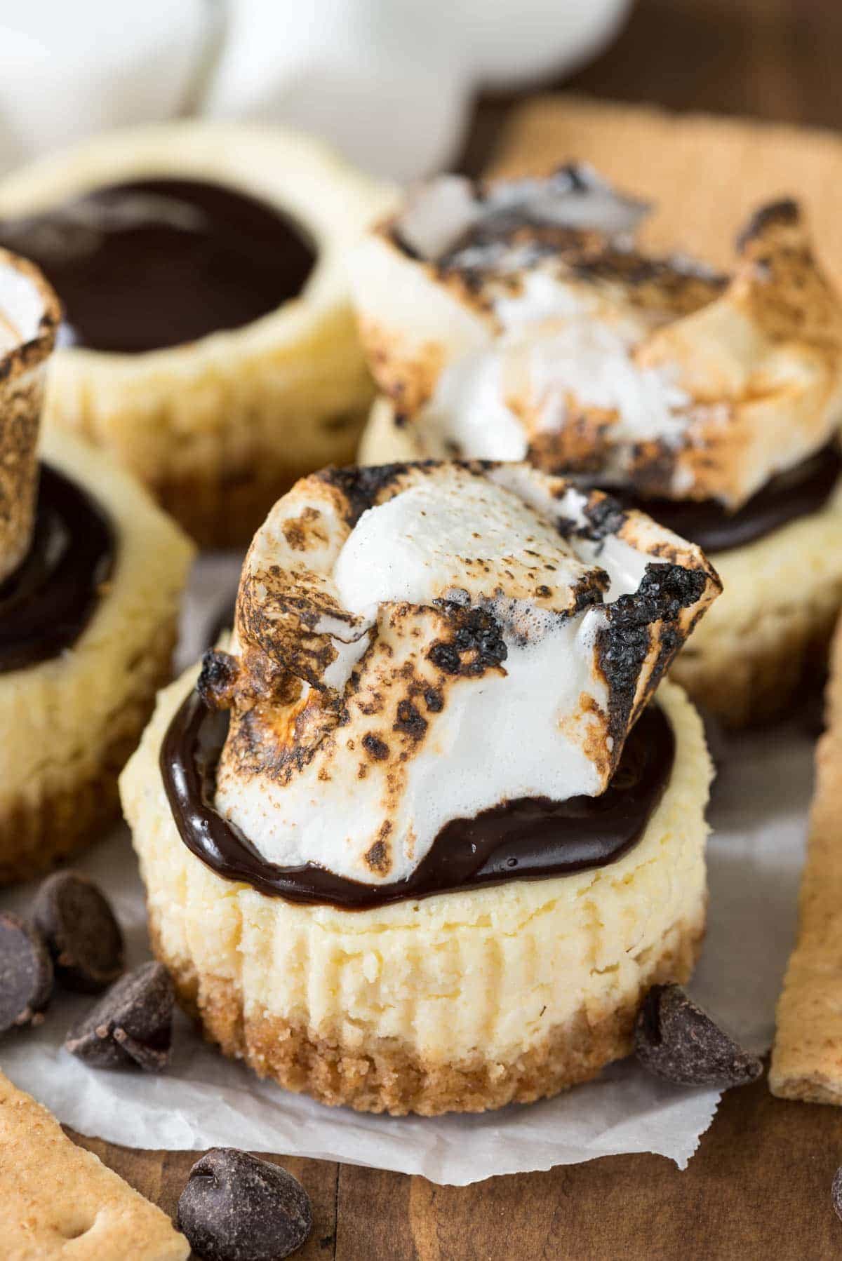 Easy Mini S'mores Cheesecakes Recipe - we loved these!