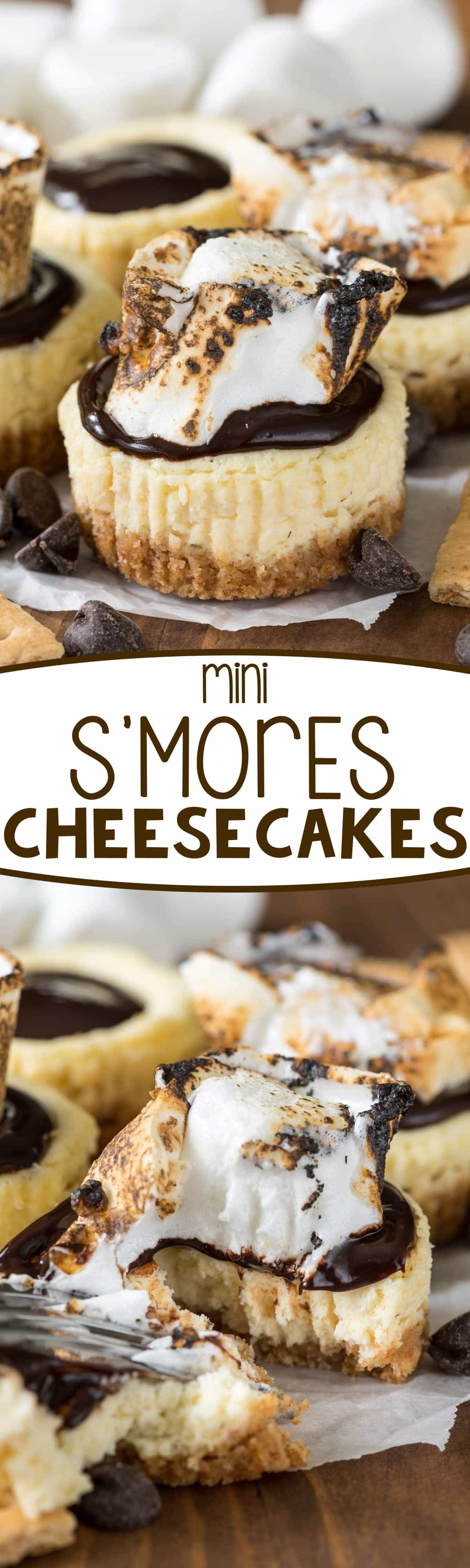 Mini S'mores Cheesecakes - this easy cheesecake recipe makes the perfect 12 mini cheesecakes! Top them with chocolate and a toasted marshmallow for indoor s'mores!