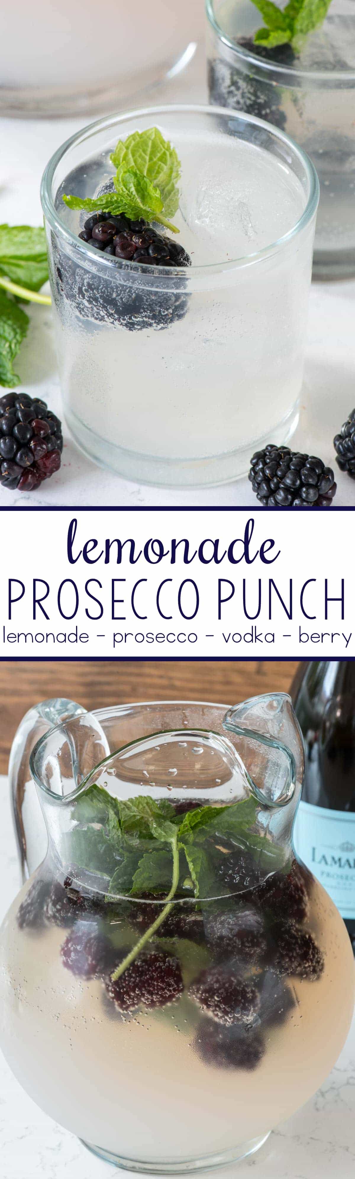 Lemonade Prosecco Punch - this easy cocktail punch comes together in minutes with just 3 main ingredients! It's perfect for a summer party!