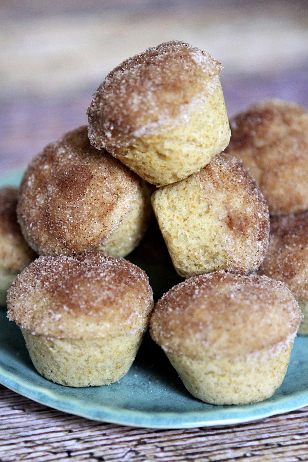 Snickerdoodle-Muffins-Recipe