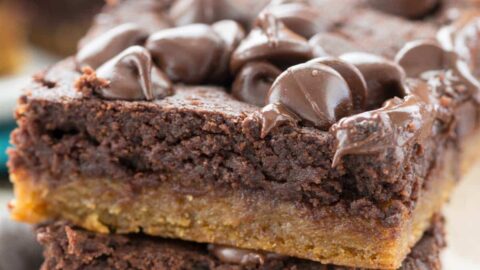 fudgy pumpkin brookies crazy