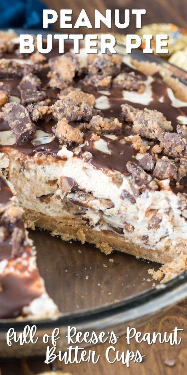 peanut butter pie with slice missing