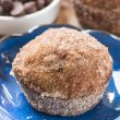 chocolate chip pumpkin doughnut muffins