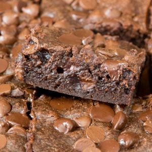 fudgy chocolate brownies