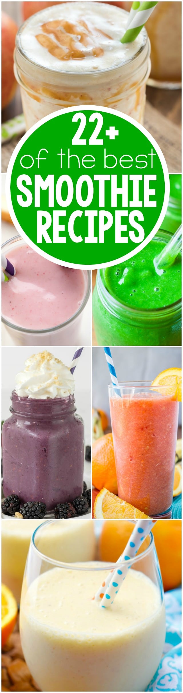 22 of the BEST Smoothie Recipes to help you with your healthier eating goal this year!