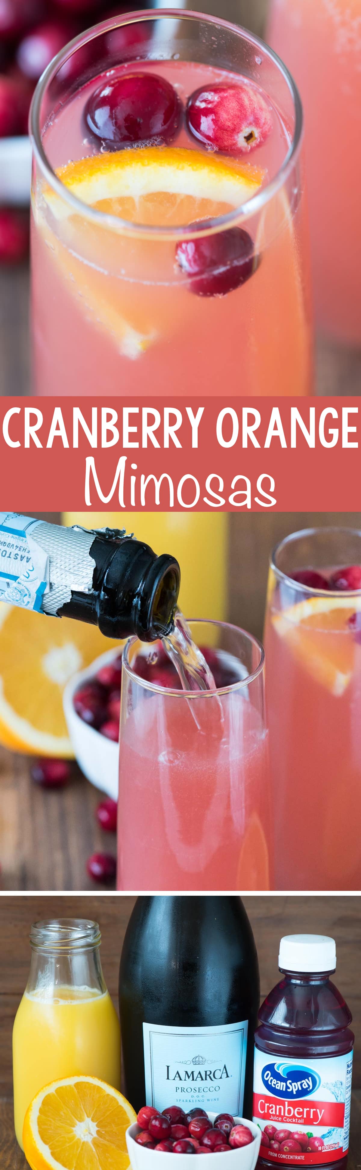 Cranberry Orange Mimosa Bellini Crazy For Crust,How To Make A Tequila Sunrise Cocktail