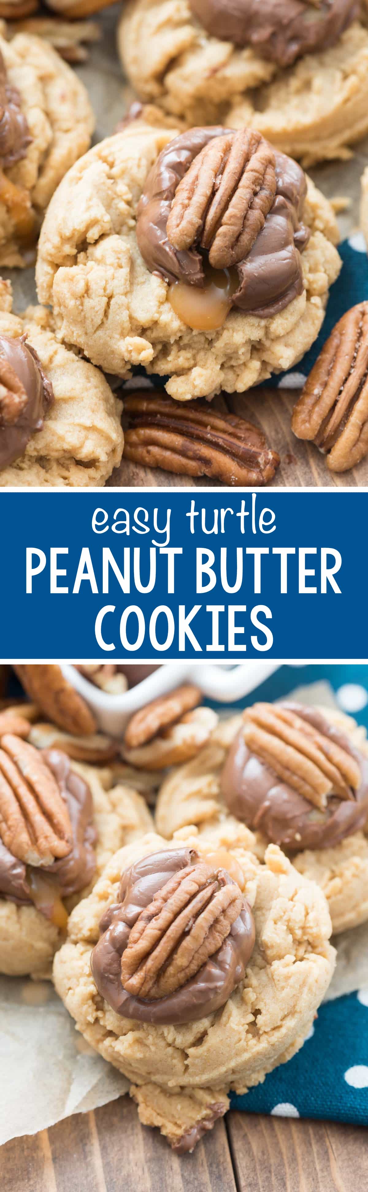 EASY Turtle Peanut Butter Cookies - this is my FAVORITE peanut butter cookie recipe topped with a caramel candy and a pecan. The easiest way to dress up a peanut butter cookie!