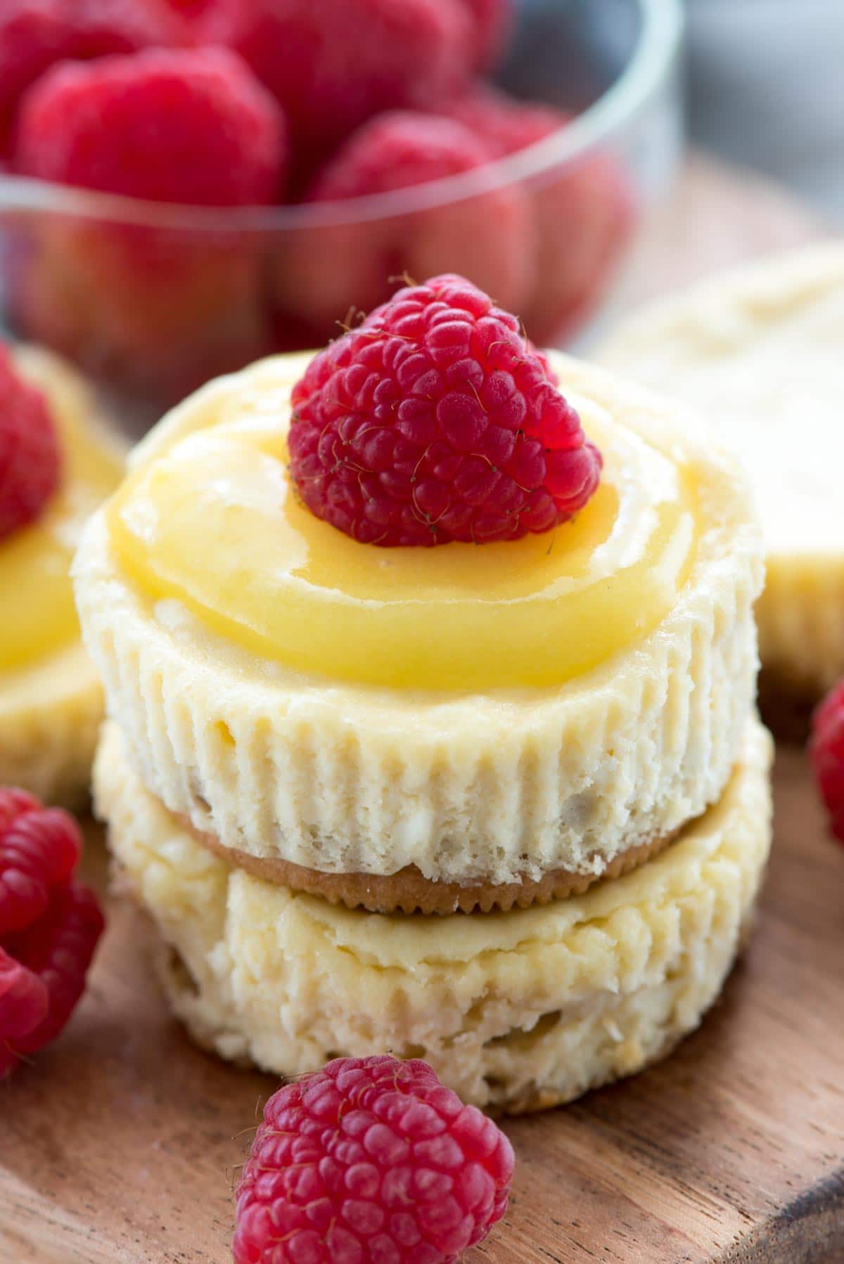 Easy Mini Lemon Cheesecakes - this easy cheesecake recipe makes 12 mini lemon cheesecakes with a Golden Oreo crust and lemon curd on top!