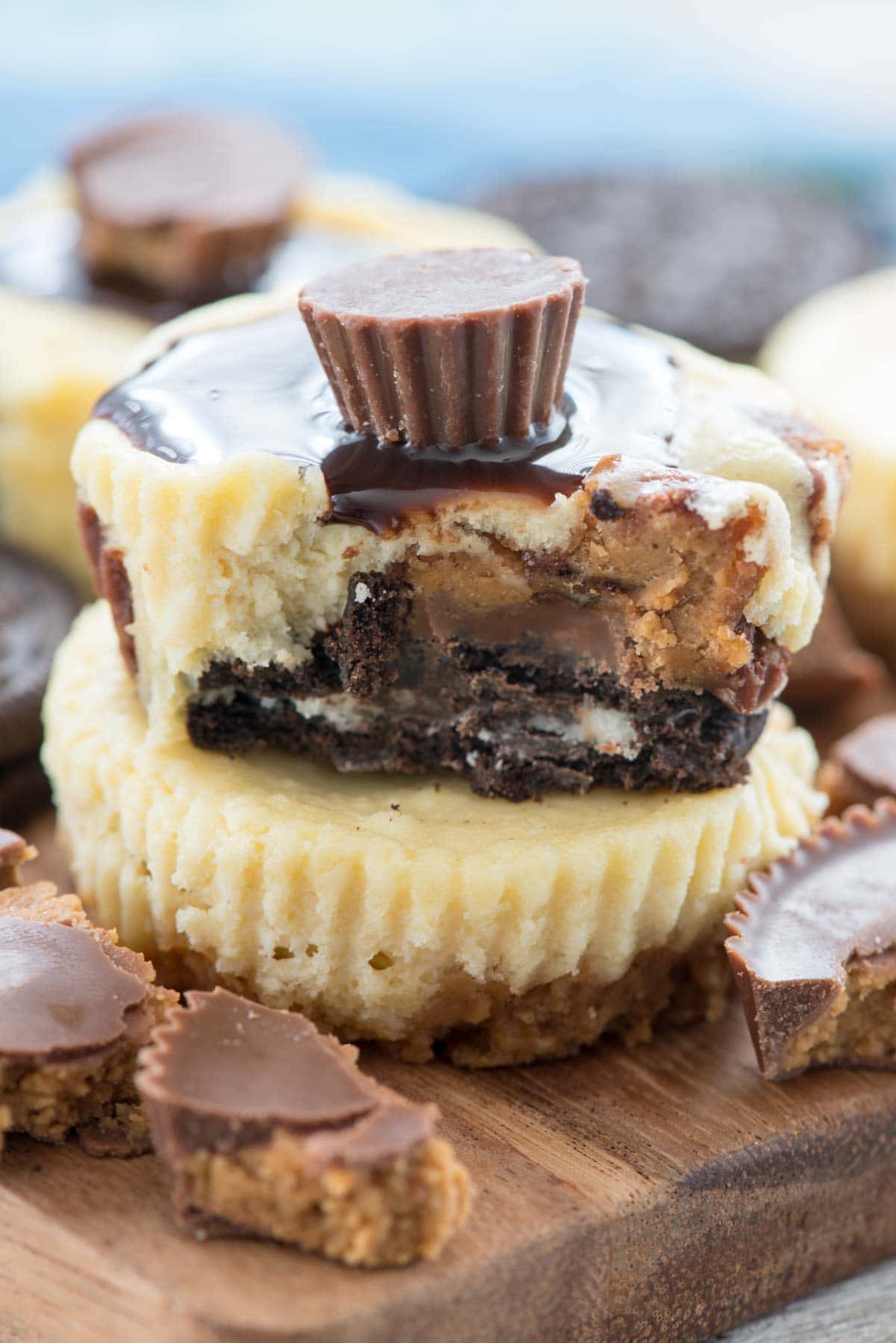 Reese's Peanut Butter Cup Cheesecake - this easy cheesecake recipe makes 12 mini peanut butter cup cheesecakes with an Oreo crust!
