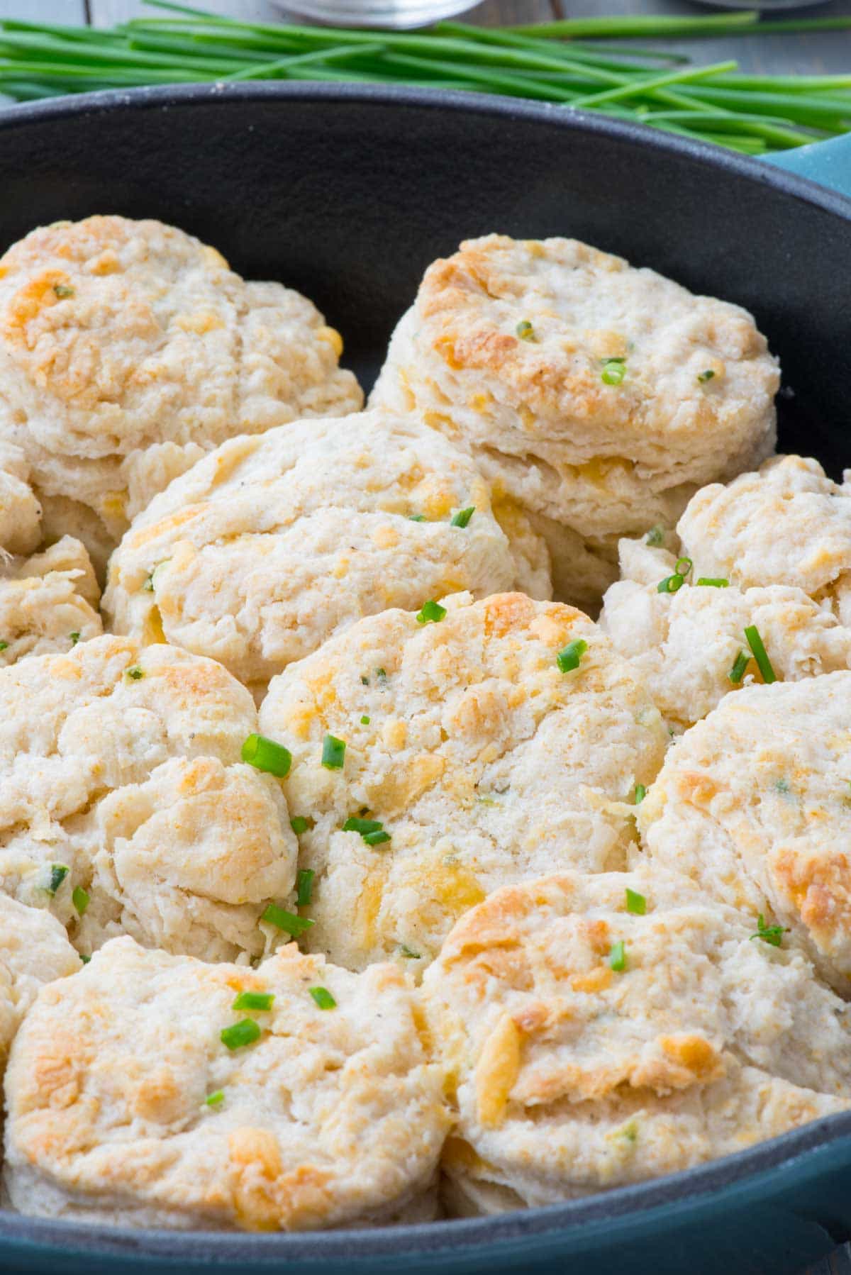 Cheddar Chive Biscuits - this easy buttermilk biscuit recipe is FULL of cheddar cheese and chives! We eat them for breakfast with bacon or as a side dish with dinner!