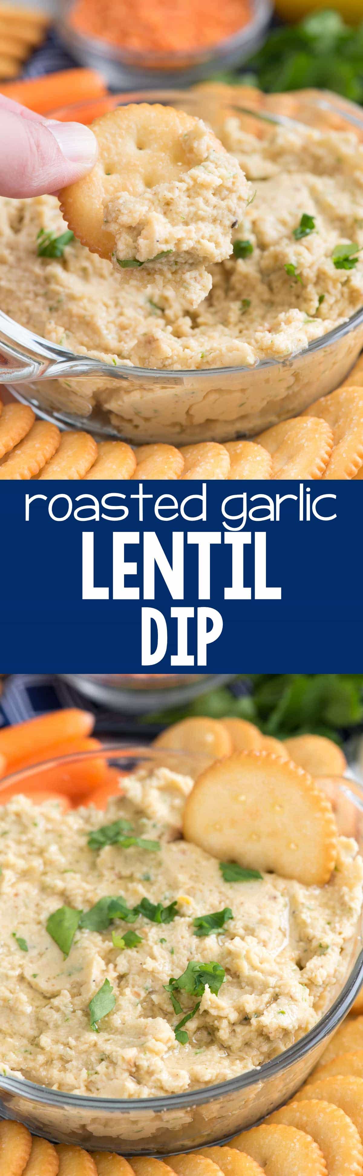 Roasted Garlic Lentil Dip - if you love white bean dip this LENTIL dip is for you! It's FULL of roasted garlic and protein and is the best snack or meal!