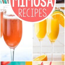 photo collage- 30 Mimosa Recipes