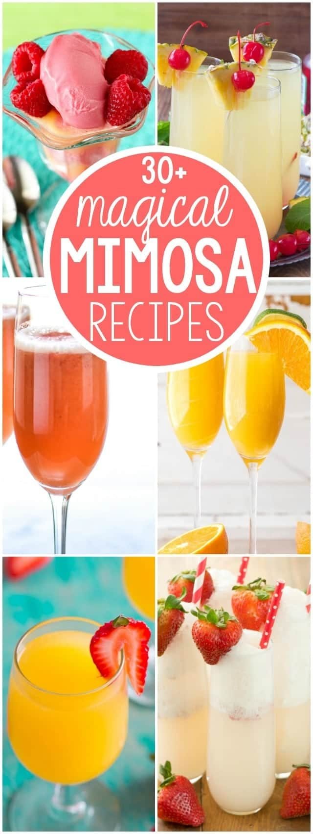 photo collage -30 magical mimosa recipes